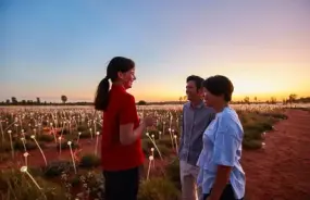 Bruce Munro’s Field of Light