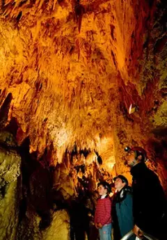 Traveleres observing Waitomo limestone caves