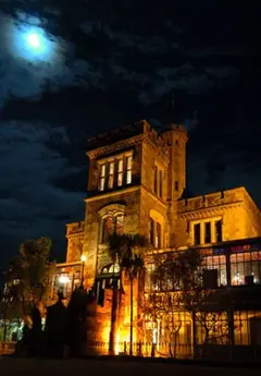 Image of Larnach Castle near Dunedin at night