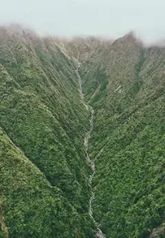 Waterfall down the lush green West Coast