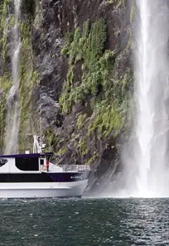 Milford Sound, Fiordland National Park