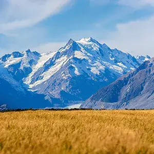 Beautiful golden colours in Mt Cook National Park