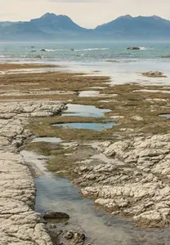 Kaikoura, New Zealand