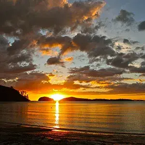 Coromandel Peninsula, New Zealand