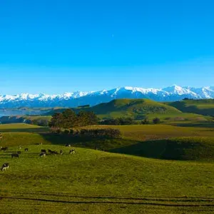 The beautiful Kaikoura countryside