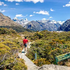 Hiking the Routeburn Track, Fiordland National Park