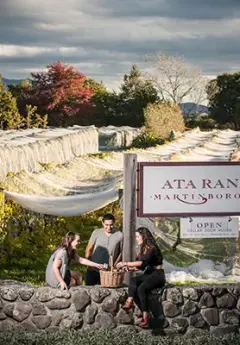 Three people sit on a stone wall at the entry to a Martinborough vineyard