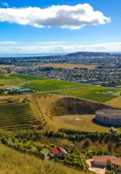 Aerial view of vineyards and rolling hills in Napier