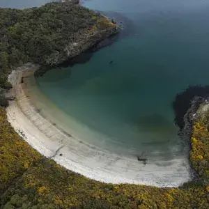 Stewart Island