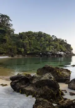 A group of rocks pictured on a white sandy beach in Stewart Island