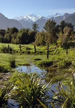 Lake Matheson, West Coast, New Zealand