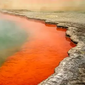 Champagne Pool, Rotorua geothermal area