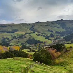 Banks Peninsula