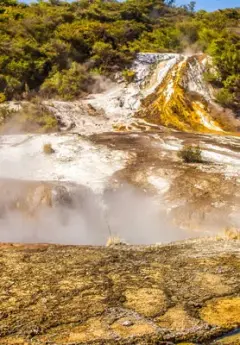 Geothermal activity in Rotorua