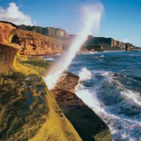 Blow hole at Punakaiki on South Island's West Coast